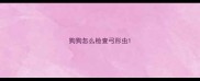 狗狗怎么检查弓形虫