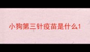 小狗第三针疫苗是什么