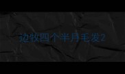 边牧四个半月毛发