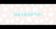 给金毛剃毛好不好