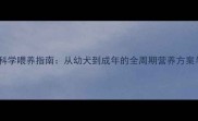 拉布拉多犬科学喂养指南从幼犬到成年的全周期营养方案与疾病预防