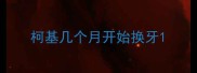 柯基几个月开始换牙