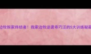 边牧拆家终结者我家边牧逆袭乖巧汪的5大训练秘籍