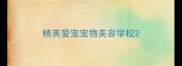 精英爱宠宠物美容学校