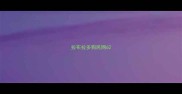 拉布拉多狗民网6