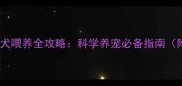 4个月边境牧羊犬喂养全攻略科学养宠必备指南附月龄营养表