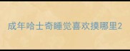 成年哈士奇睡觉喜欢摸哪里