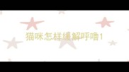 猫咪怎样缓解呼噜