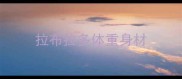 拉布拉多体重身材