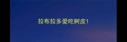 拉布拉多爱吃树皮