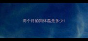 两个月的狗体温是多少