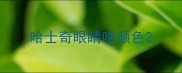 哈士奇眼睛啥颜色