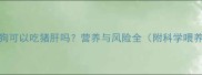 边牧狗狗可以吃猪肝吗营养与风险全附科学喂养指南
