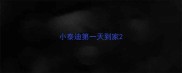 小泰迪第一天到家
