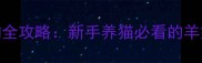 幼猫羊奶选购全攻略新手养猫必看的羊奶粉避坑指南