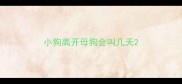 小狗离开母狗会叫几天