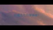 幼猫几个月学捕食