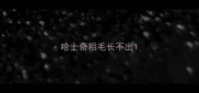 哈士奇粗毛长不出