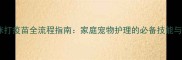 自己给猫咪打疫苗全流程指南家庭宠物护理的必备技能与注意事项