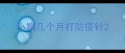 小狗几个月打防疫针