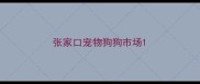 张家口宠物狗狗市场