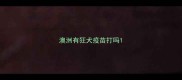 澳洲有狂犬疫苗打吗