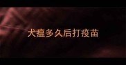 犬瘟多久后打疫苗