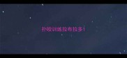 扑咬训练拉布拉多