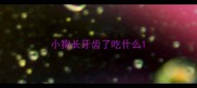小狗长牙齿了吃什么