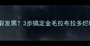 狗狗眼鼻分泌物多鼻头干裂发黑3步搞定金毛拉布拉多烂眼烂鼻问题附护理全攻略