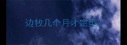 边牧几个月才定型