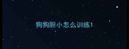 狗狗胆小怎么训练