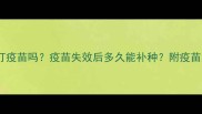小狗可以重新打疫苗吗疫苗失效后多久能补种附疫苗注意事项全攻略