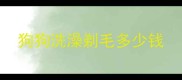狗狗洗澡剃毛多少钱