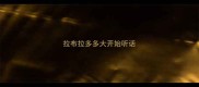 拉布拉多多大开始听话