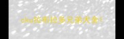 cku拉布拉多兄弟犬舍