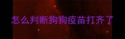 怎么判断狗狗疫苗打齐了