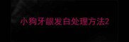 小狗牙龈发白处理方法