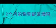 2个月的狗狗能洗澡吗