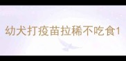 幼犬打疫苗拉稀不吃食