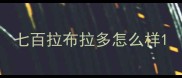 七百拉布拉多怎么样