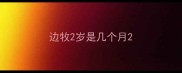 边牧2岁是几个月