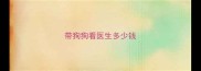 带狗狗看医生多少钱