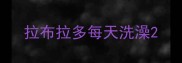 拉布拉多每天洗澡