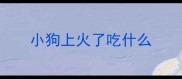 小狗上火了吃什么