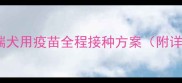 宠物疫苗必读指南辉瑞犬用疫苗全程接种方案附详细时间表与注意事项
