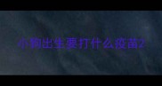小狗出生要打什么疫苗