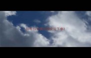 拉布拉多俩月嘴皮没下垂