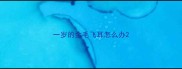 一岁的金毛飞耳怎么办
