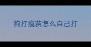 狗打疫苗怎么自己打